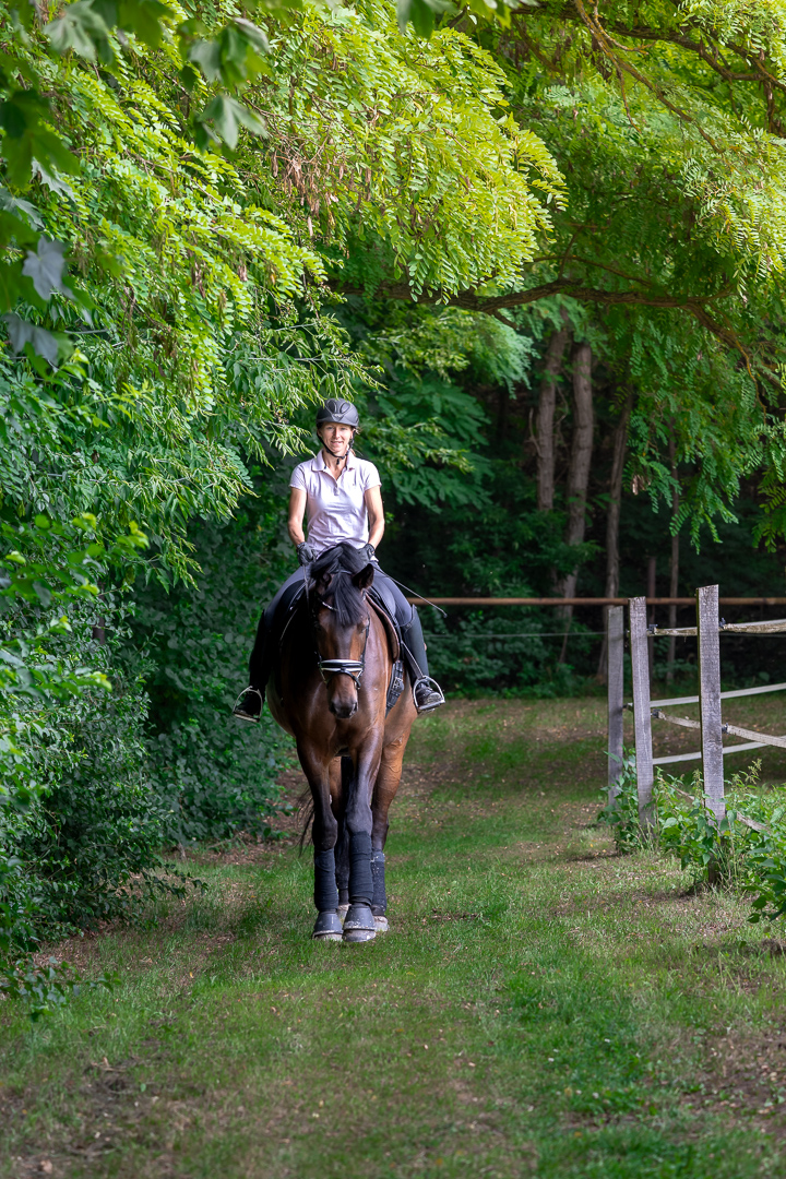 Reiterin auf dunklem Pferd auf schattigem Waldweg